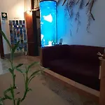 Hostel Cactus Host *