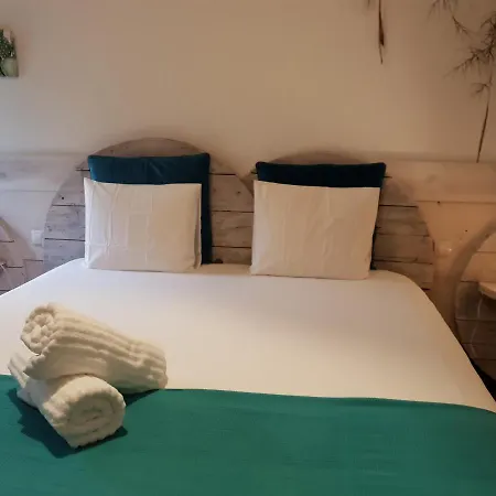 Cactus Host Auberge de jeunesse