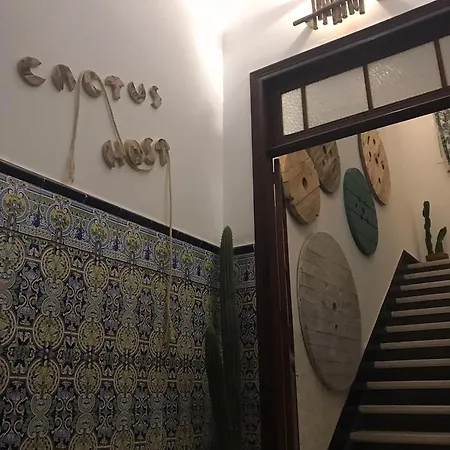 Cactus Host Auberge de jeunesse *
