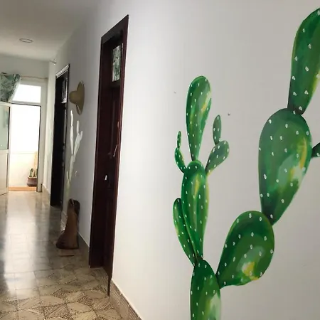 Auberge de jeunesse Cactus Host *
