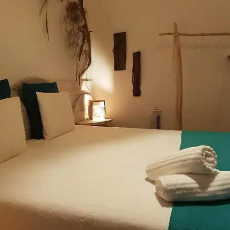 Cactus Host 旅馆 大加那利岛拉斯帕尔马斯