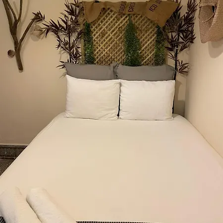 Cactus Host 旅馆 大加那利岛拉斯帕尔马斯