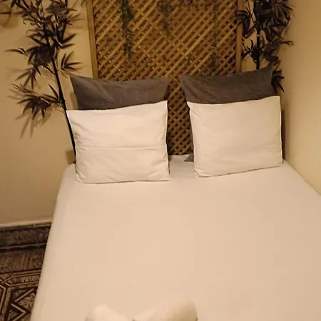 Cactus Host 旅馆 *