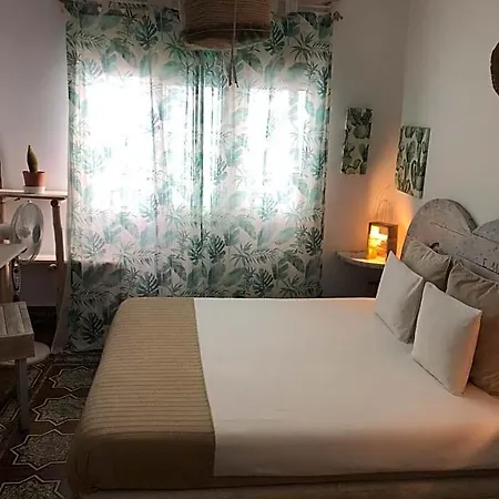 Hostel Cactus Host *
