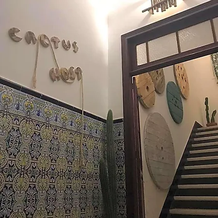 Хостел Cactus Host