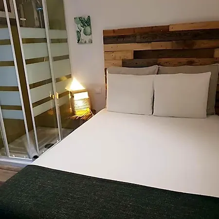 Hostel Cactus Host *