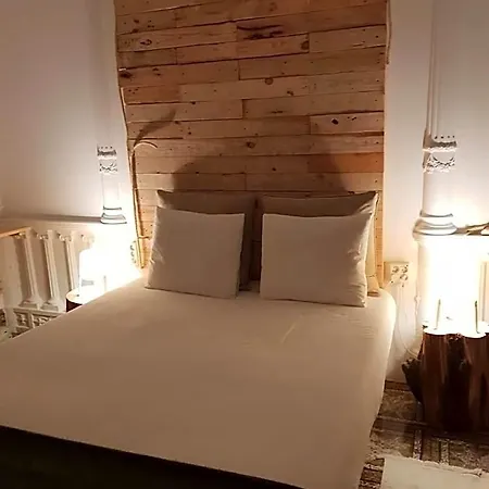Cactus Host Hostel *
