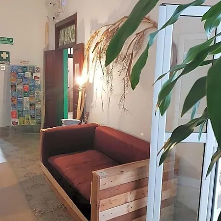 Cactus Host Hostel Las Palmas de Gran Canaria