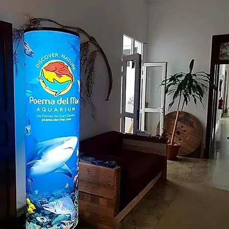 Hostel Cactus Host