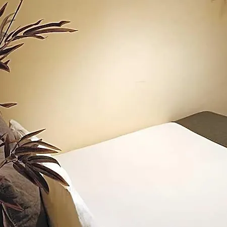 Hostel Cactus Host