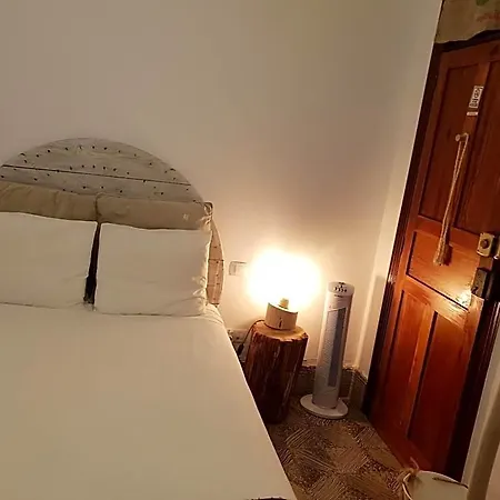 Хостел Cactus Host Лас-Пальмас-де-Гран-Канария