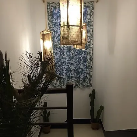 旅馆 Cactus Host