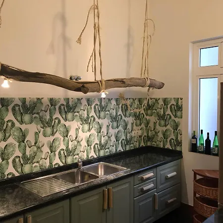 Cactus Host