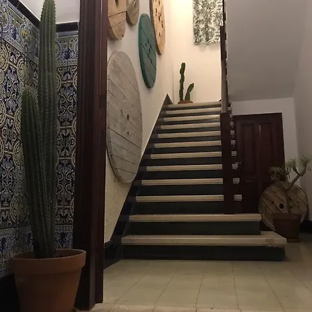Cactus Host Хостел Лас-Пальмас-де-Гран-Канария