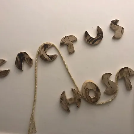 Cactus Host 大加那利岛拉斯帕尔马斯
