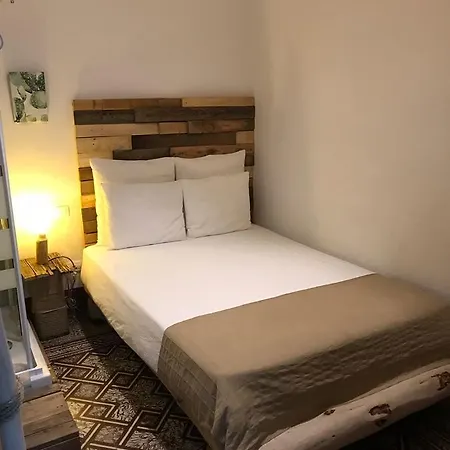 Cactus Host *