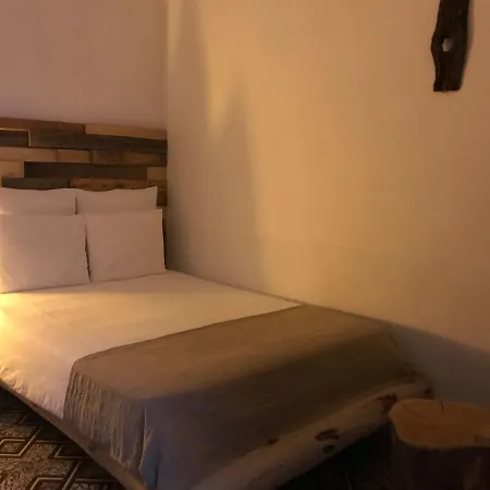 Cactus Host 旅馆 大加那利岛拉斯帕尔马斯