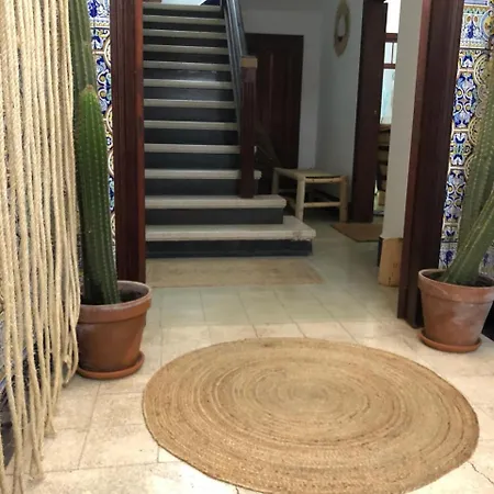 旅馆 Cactus Host 大加那利岛拉斯帕尔马斯
