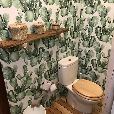 Cactus Host Хостел *