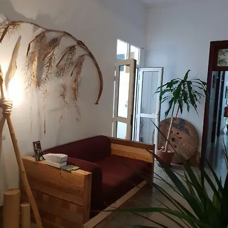 Cactus Host * Лас-Пальмас-де-Гран-Канария