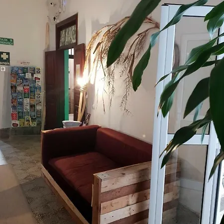 Хостел Cactus Host Лас-Пальмас-де-Гран-Канария