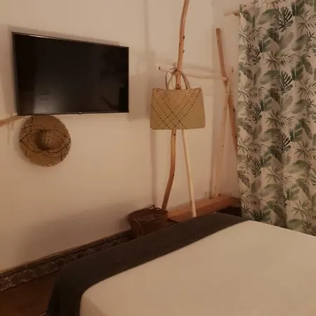 Cactus Host Хостел