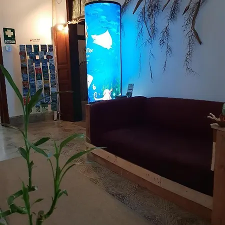 Хостел Cactus Host *