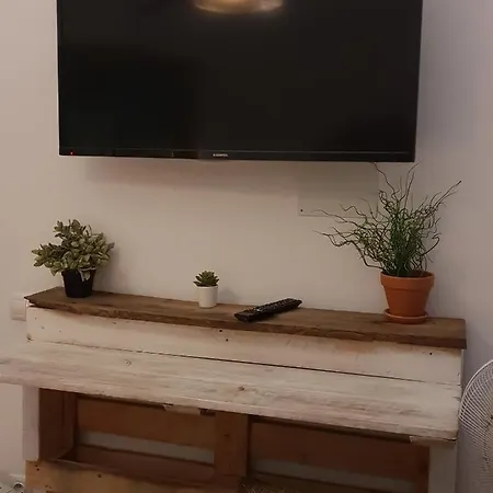 Хостел Cactus Host