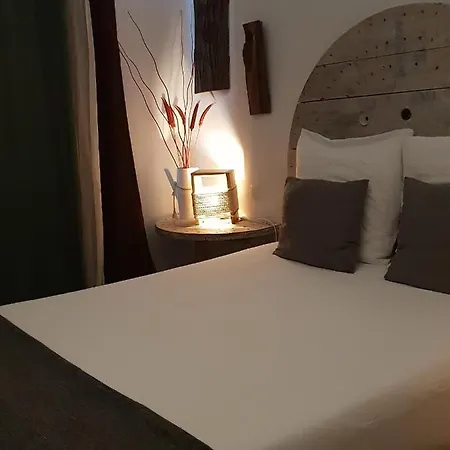 Cactus Host Лас-Пальмас-де-Гран-Канария
