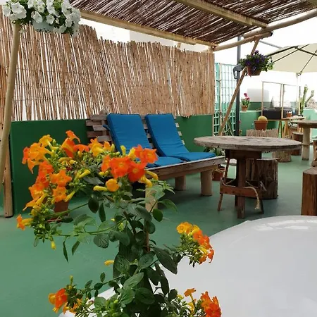 Ostello Cactus Host *