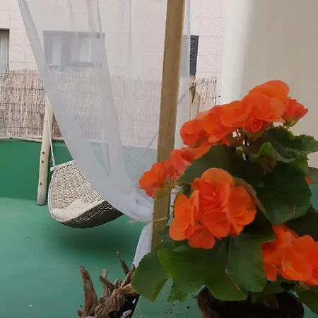 Vandrarhem Cactus Host *
