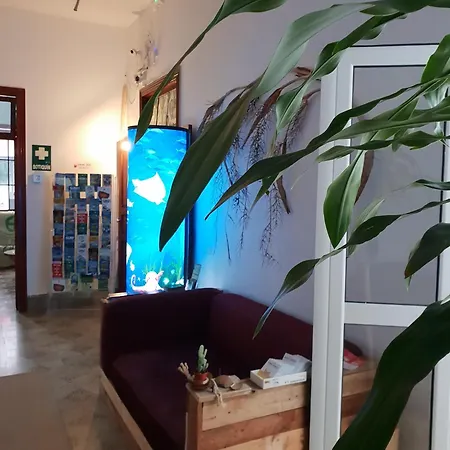 Ostello Cactus Host Las Palmas de Gran Canaria