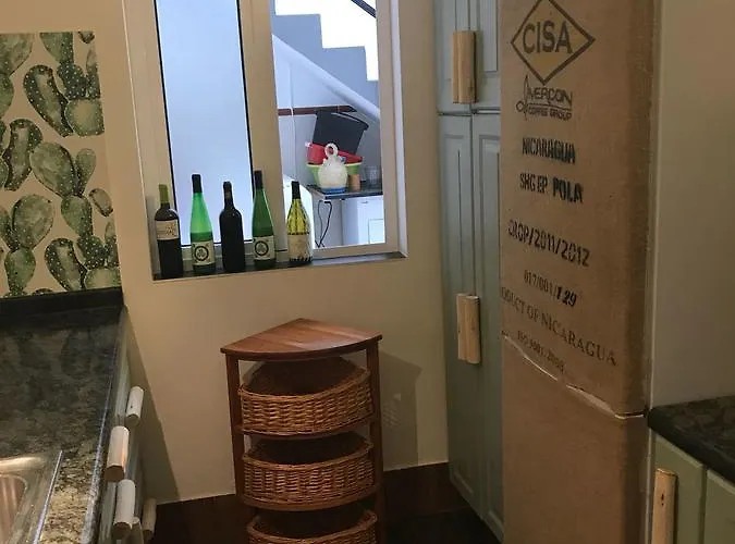 Cactus Host Hostel *