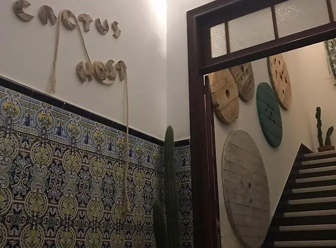 Cactus Host Hostel *