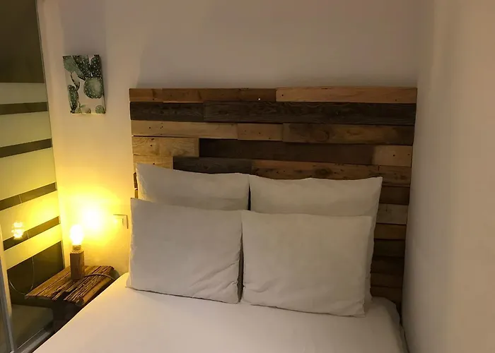 Cactus Host * Las Palmas