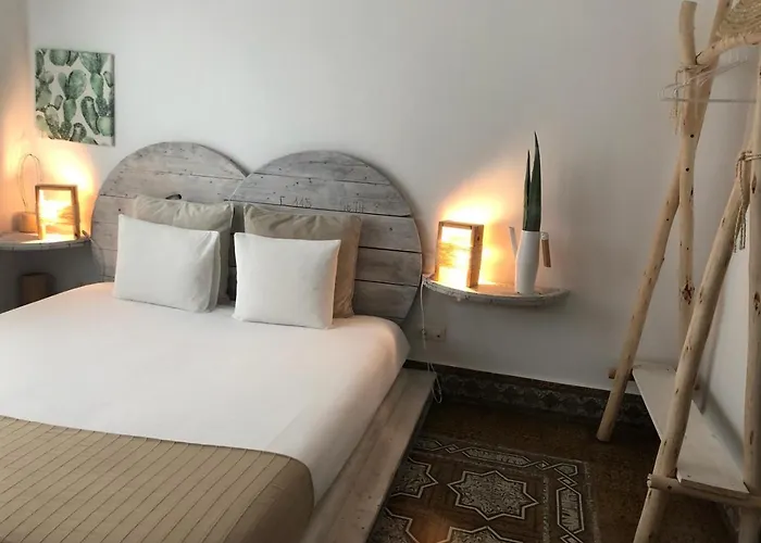 Hostel Cactus Host *