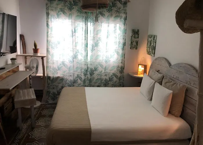 Cactus Host Las Palmas de Gran Canárias