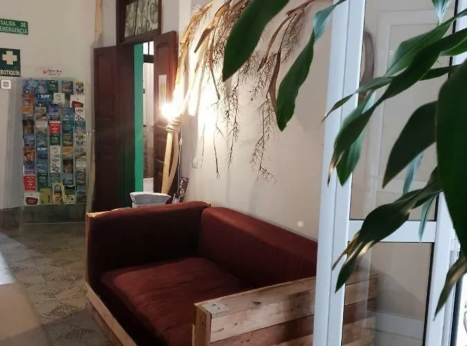 Hostel Cactus Host Λας Πάλμας ντε Γκραν Κανάρια