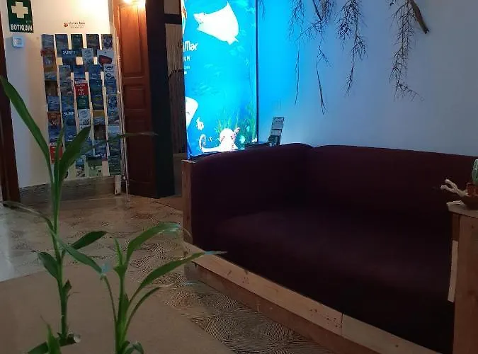 Hostel Cactus Host *