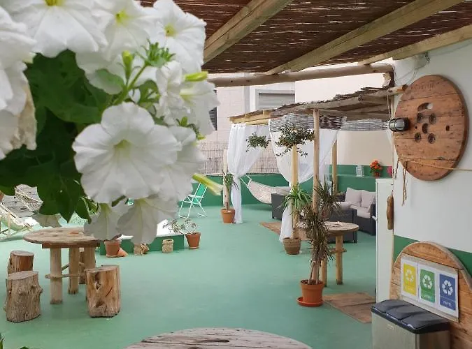 Cactus Host Las Palmas