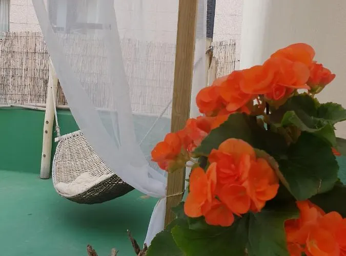 Hostel Cactus Host *