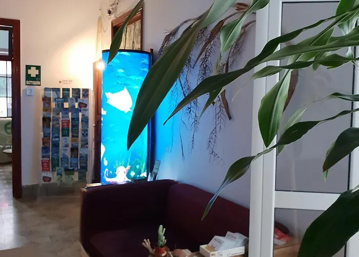 Hostel Cactus Host Λας Πάλμας ντε Γκραν Κανάρια