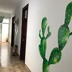 Hostel Cactus Host *