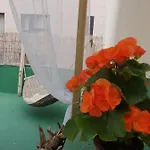 Hostel Cactus Host *
