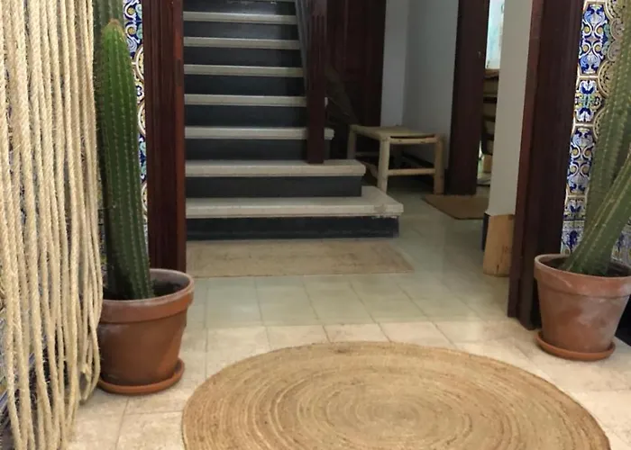 Hostel Cactus Host Las Palmas de Gran Canaria