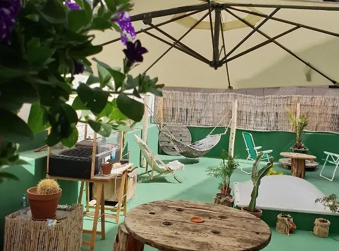 Cactus Host Hostel *